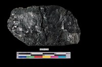 藏品(煤)的圖片